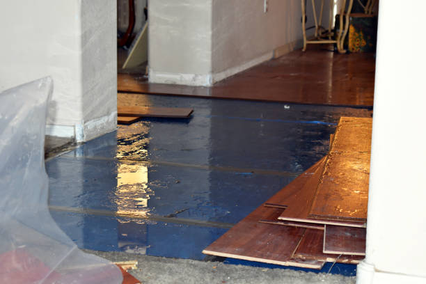 Professional Emergency Water Damage Restoration technician working in Wolfforth, TX