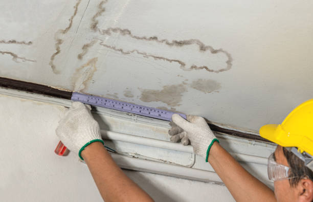 Reliable Emergency Water Damage Restoration contractor in Wolfforth, TX by Water Damage Irwin